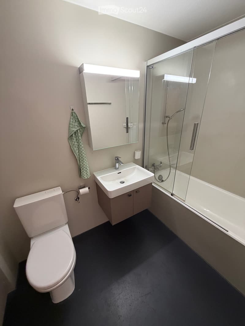 4.5 Zimmer Wohnung in Raron (3)
