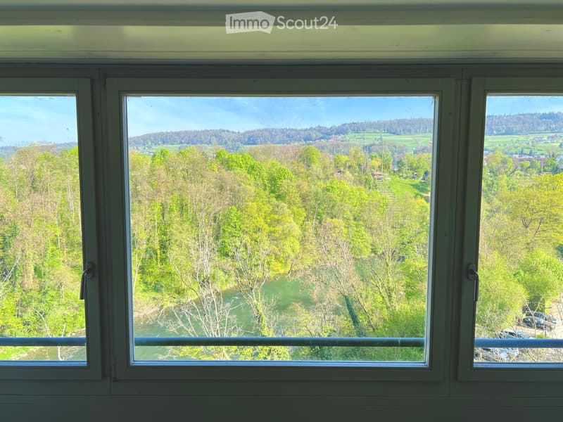 Mitbewohner/in für WG Zimmer in Baden (3)