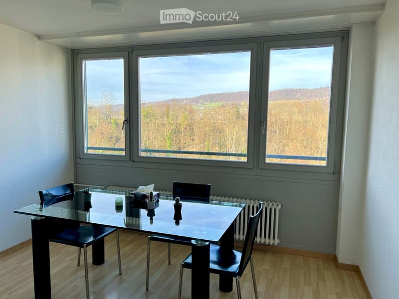 Mitbewohner/in für WG Zimmer in Baden (4)
