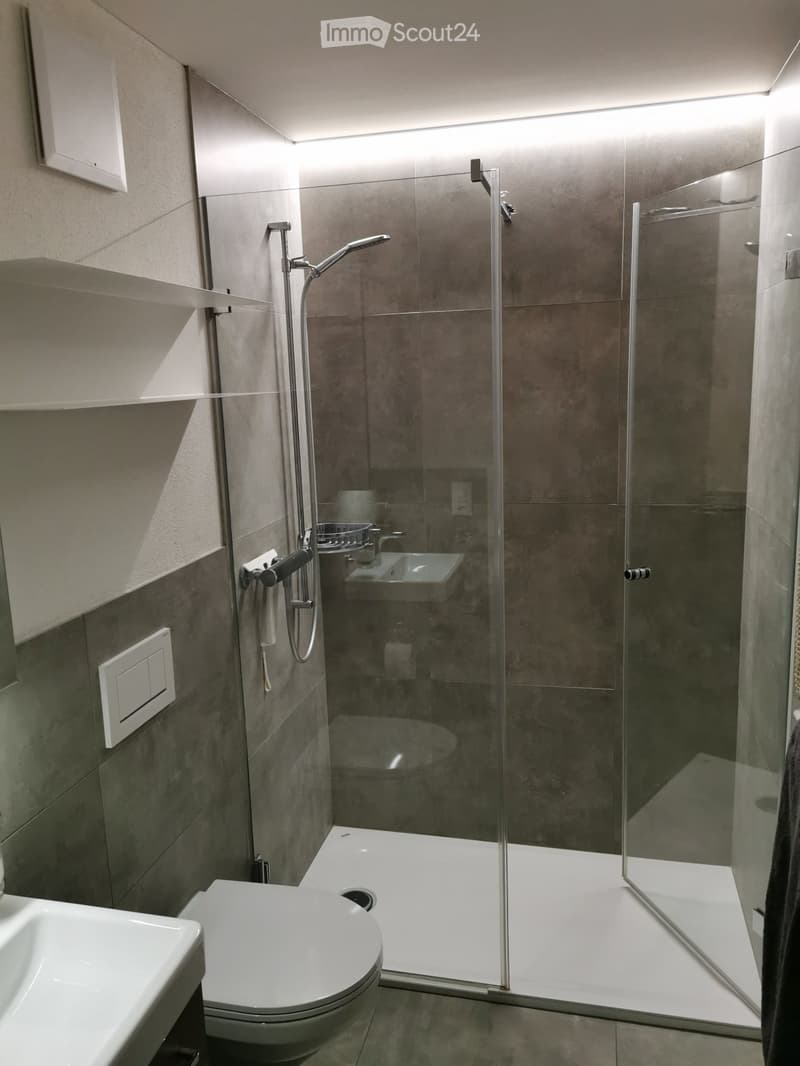Schönes, helles und ruhig gelegenes Studio, möbliert (2)