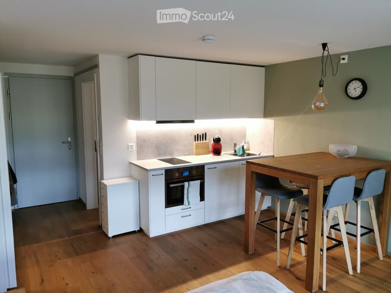 Schönes, helles und ruhig gelegenes Studio, möbliert (4)