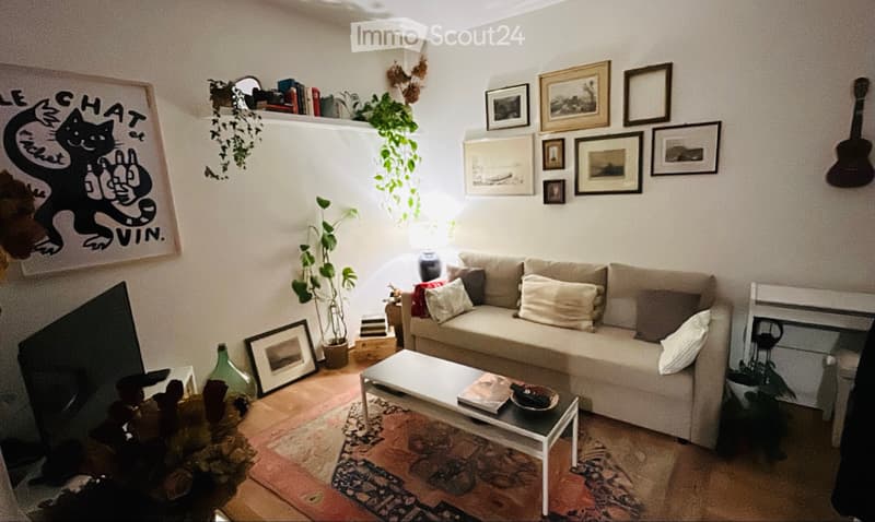 SUBENTRANTE, 2.5 locali RISTRUTTURATO,10min dal centro (1)