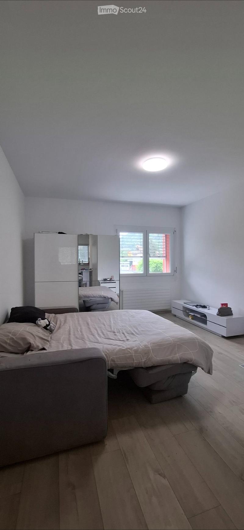 Cercasi subentrante per monolocale ammobiliato Chiasso (1)