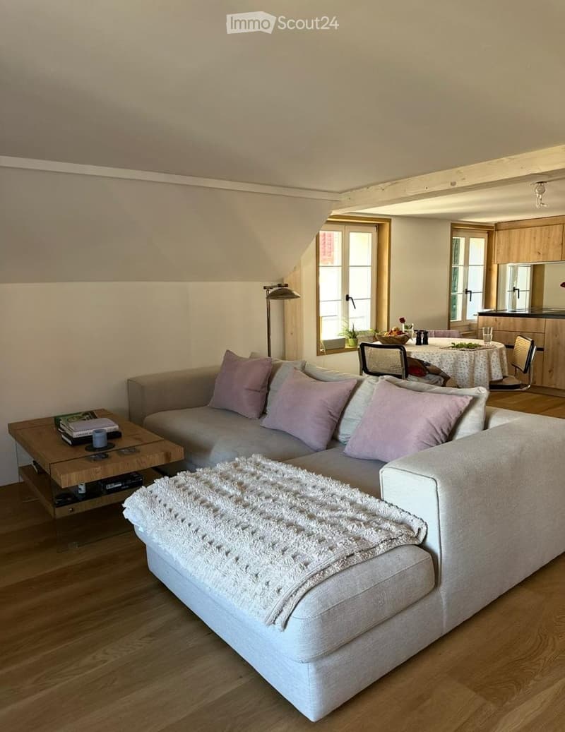 2.5 apartment to rent in Menzingen ZUG (1)