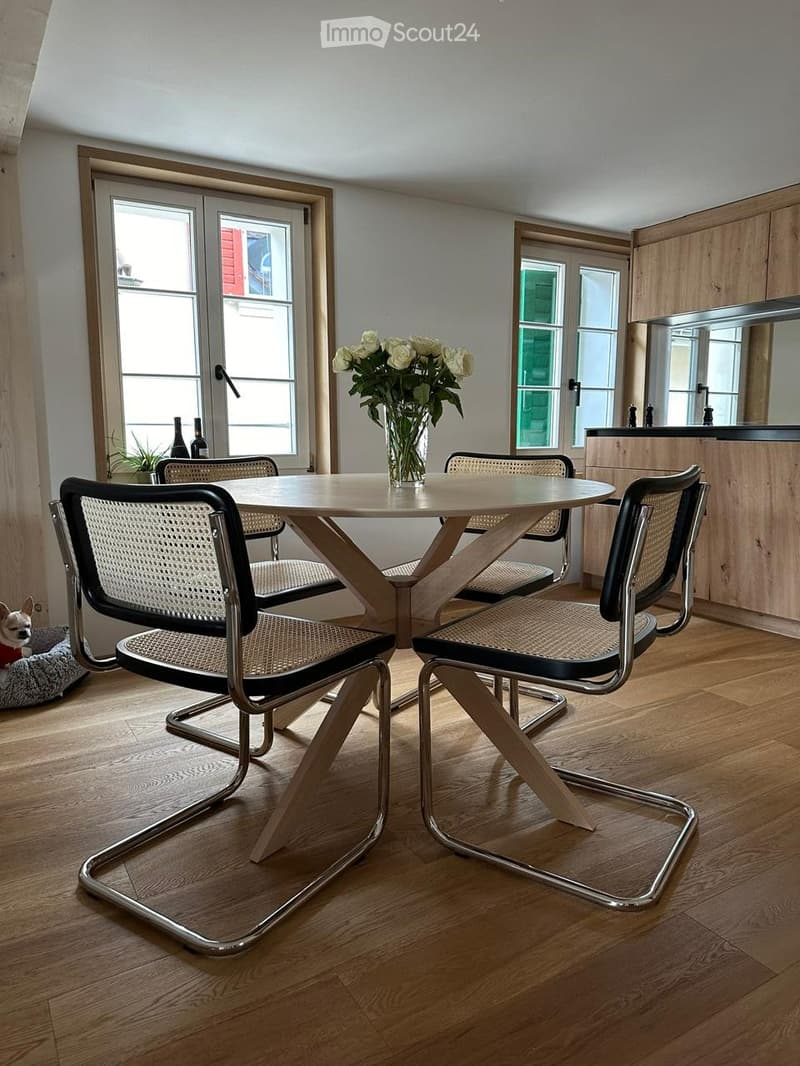 2.5 apartment to rent in Menzingen ZUG (4)