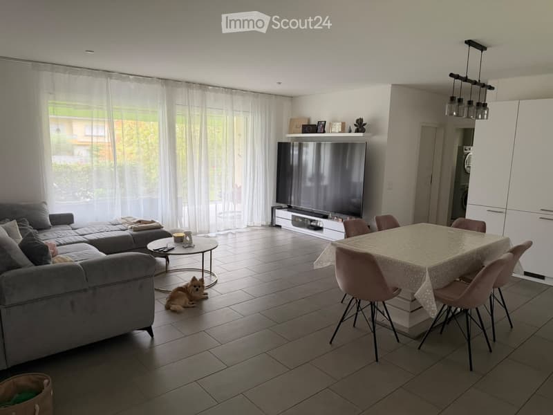 Subentrante appartamento 3.5 Mendrisio (1)