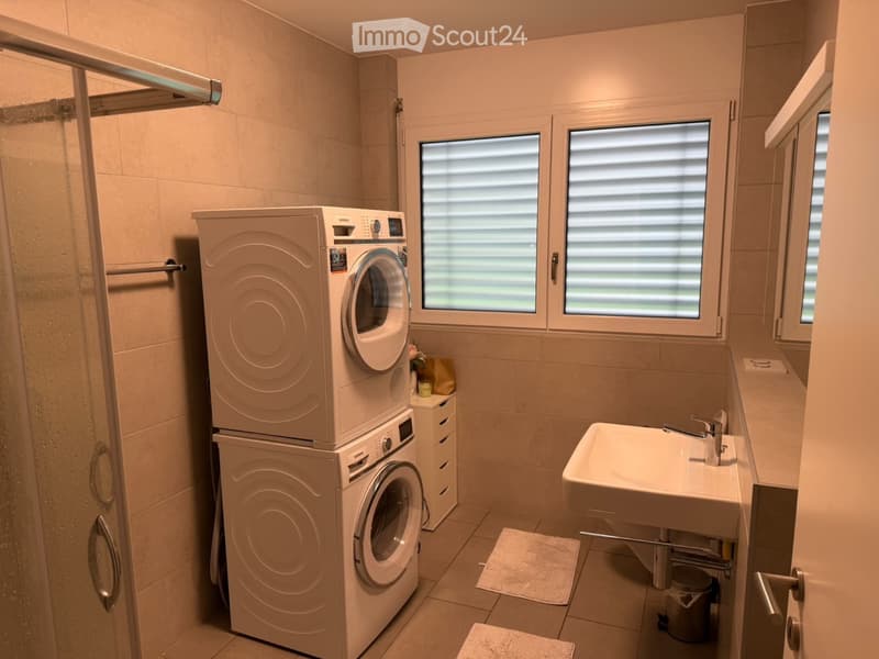 Subentrante appartamento 3.5 Mendrisio (3)