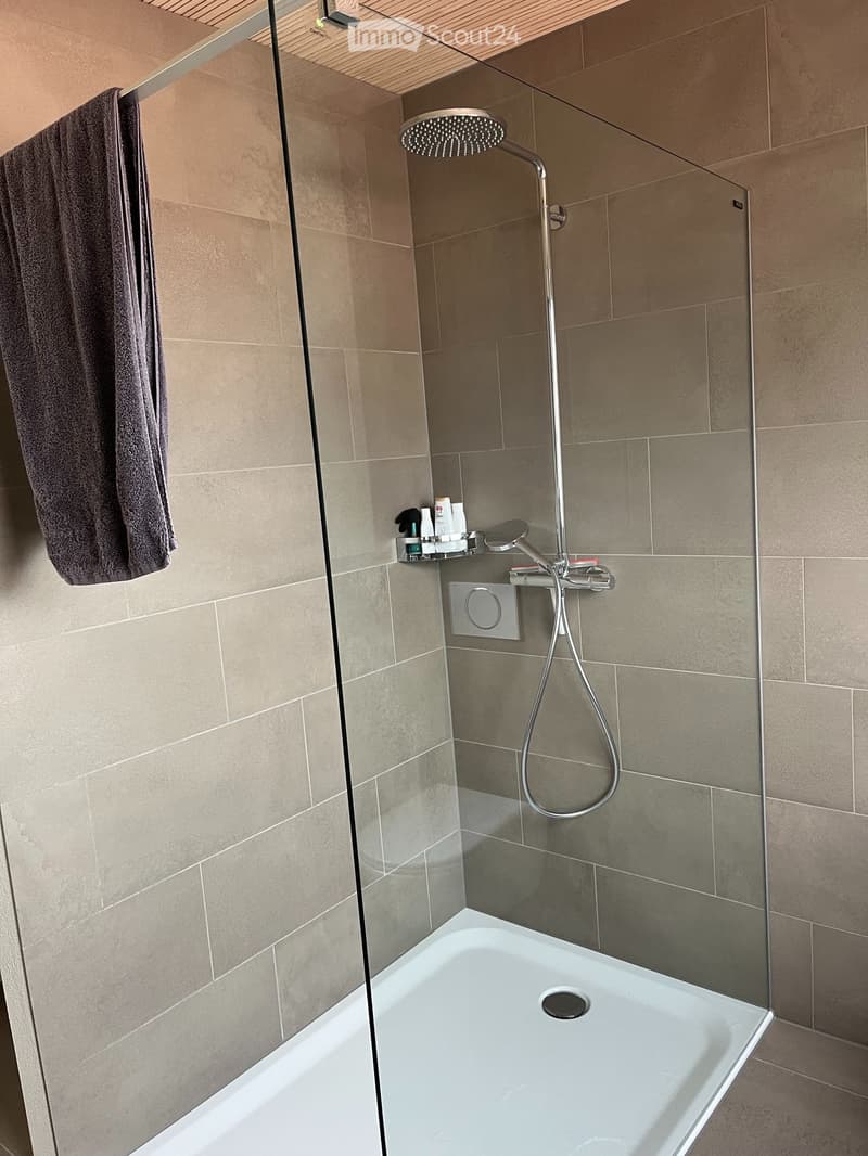 wunderschöne 2.5 Zimmerwohnung inkl. NK und Garagenplatz (4)