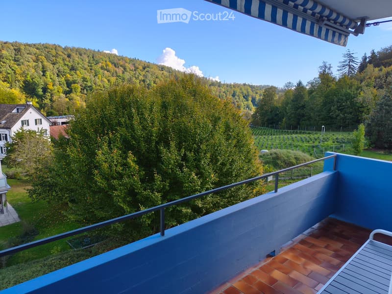 Bright 3.5-Room Apartment with Balcony in Adliswil (3)
