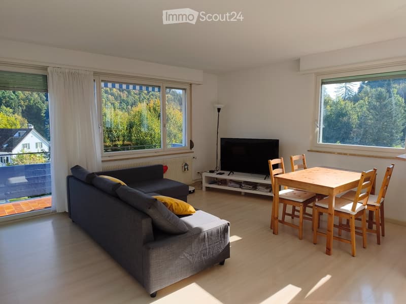 Bright 3.5-Room Apartment with Balcony in Adliswil (1)