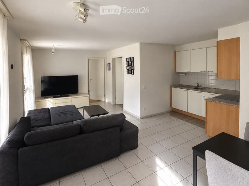 Appartamento 2.5 locali ad affitto Gudo (1)