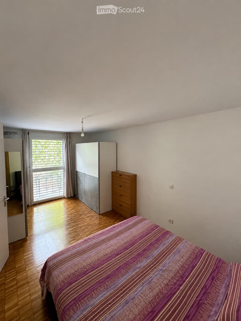 Appartamento 2.5 locali ad affitto Gudo (2)