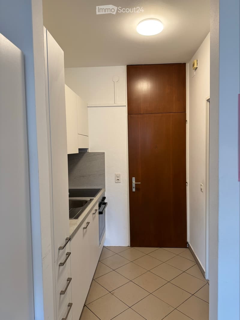 Cerco subentrante per monolocale a chiasso (1)
