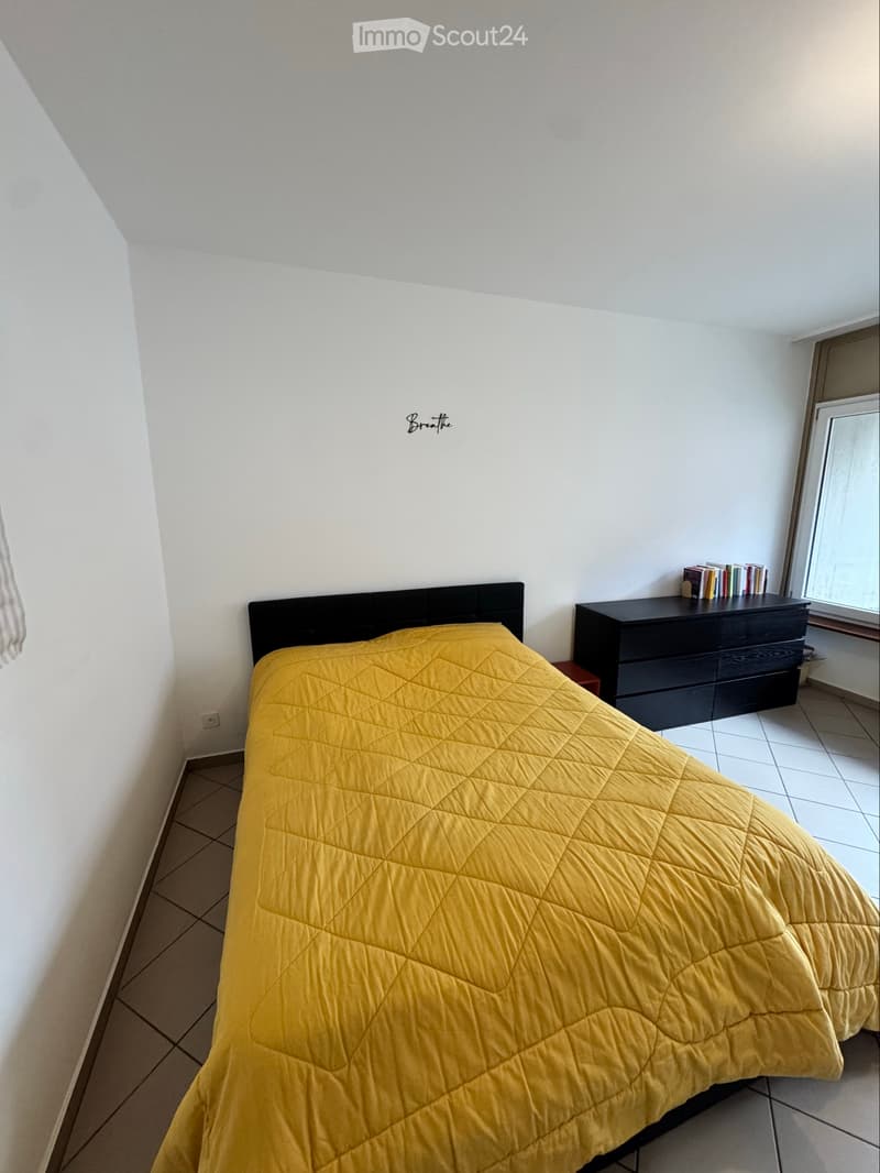 Cerco subentrante per monolocale a chiasso (3)