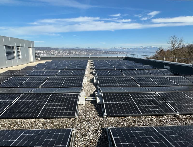 Il tuo nuovo sito aziendale in una posizione ottimale - aree da 60 a 415 m2 (4)