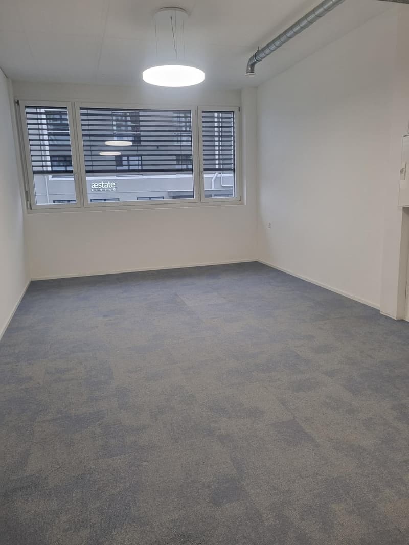 The image shows a spacious office room with large windows, a grey carpeted floor, and a ceiling light fixture. The room appears to be empty, with no furniture or other objects visible.
