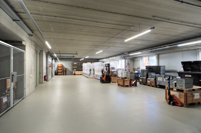 Warehouse: concrete floor, metal doors, storage boxes, forklifts, metal racks, ceiling lights