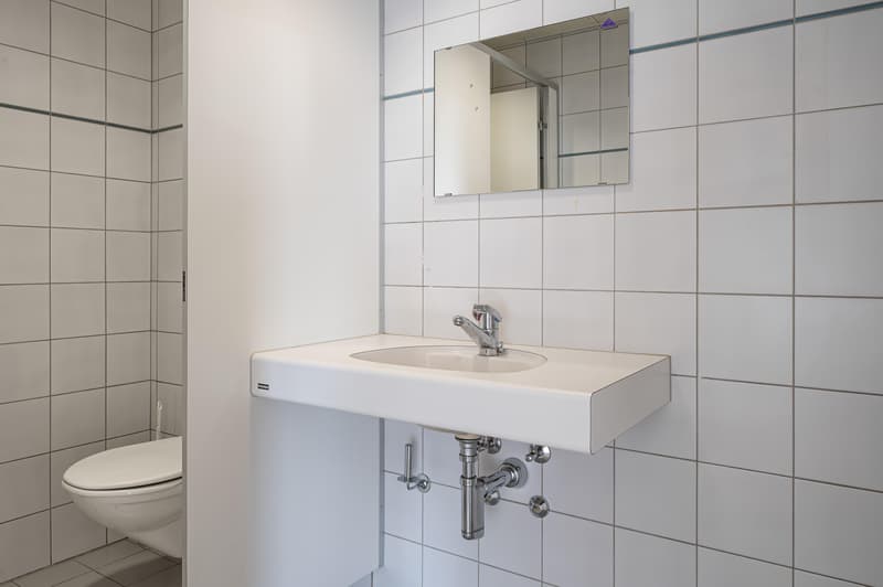 Commercial space in Horgen (7)