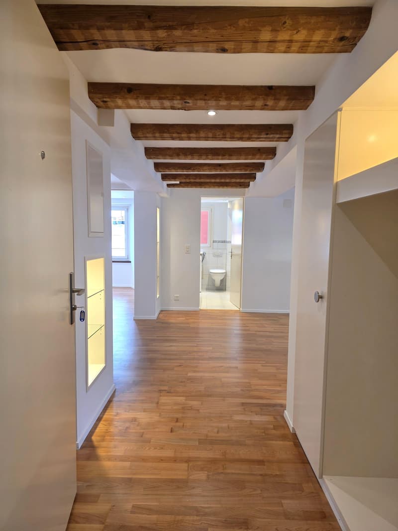 Stylish 4.5-room apartment with character in top location (11)