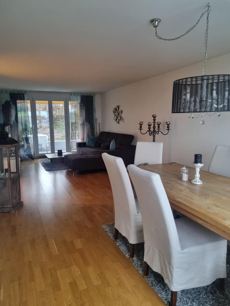 3.5 Zimmerwohnung in Wädenswil (3)