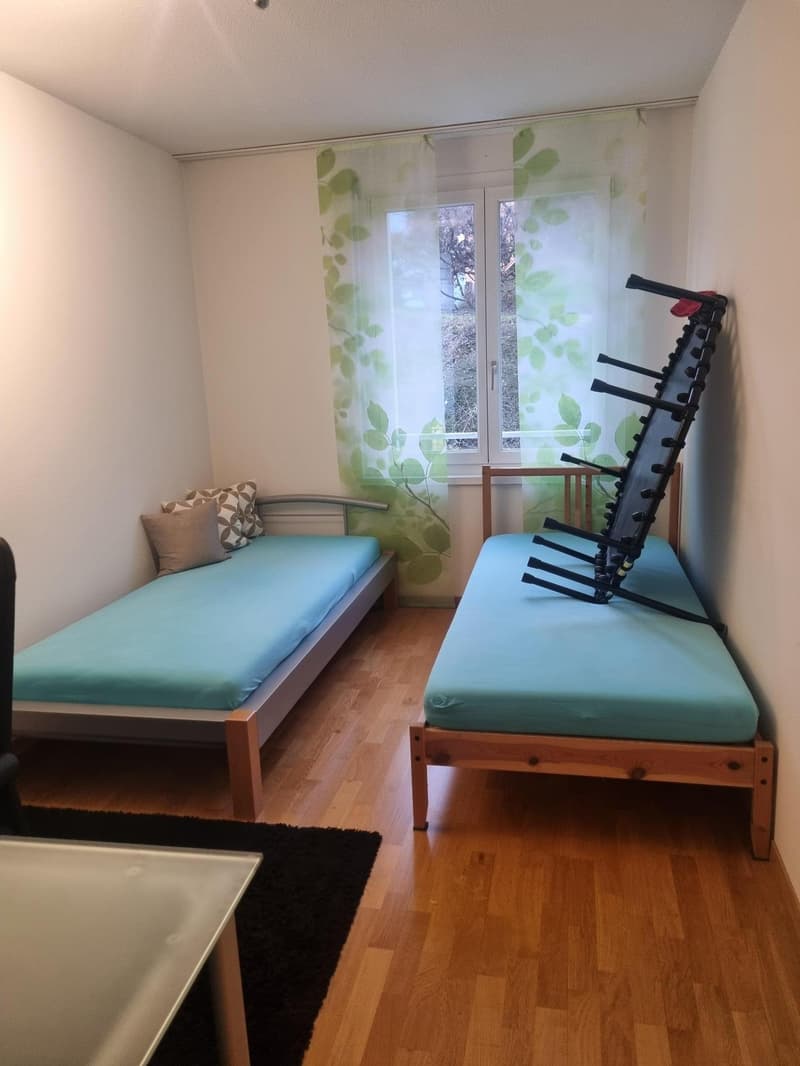 3.5 Zimmerwohnung in Wädenswil (10)