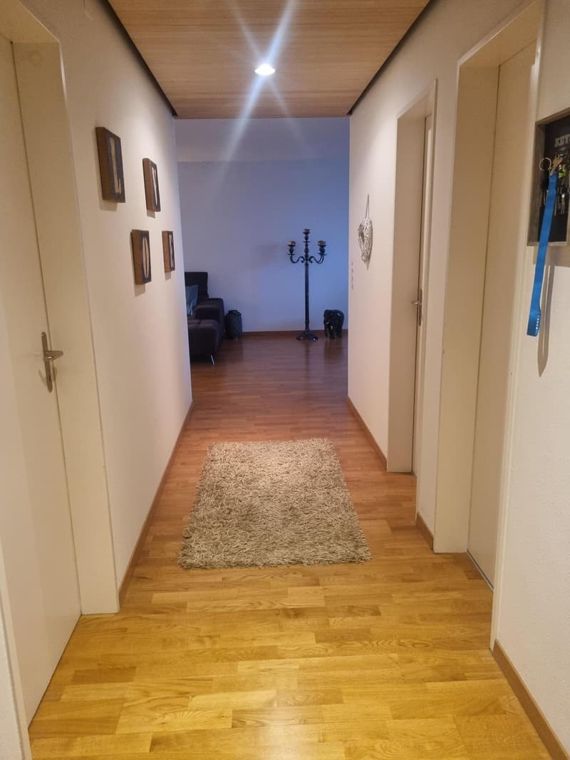 3.5 Zimmerwohnung in Wädenswil (8)