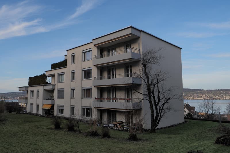 3.5 Zimmerwohnung in Wädenswil (1)