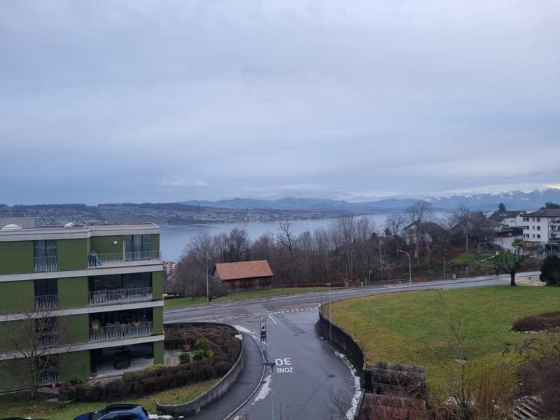 3.5 Zimmerwohnung in Wädenswil (13)