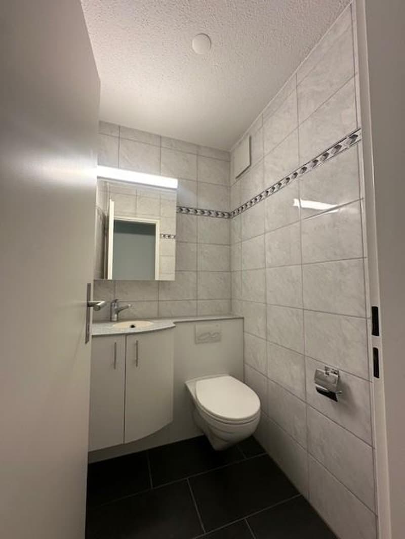 Neu sanierte 3.5-Zimmerwohnung in Zürich (10)