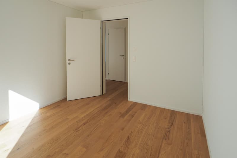 3.5 room apartment in Horgen (3)