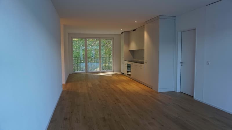 3.5 Zimmerwohnung in Horgen (1)
