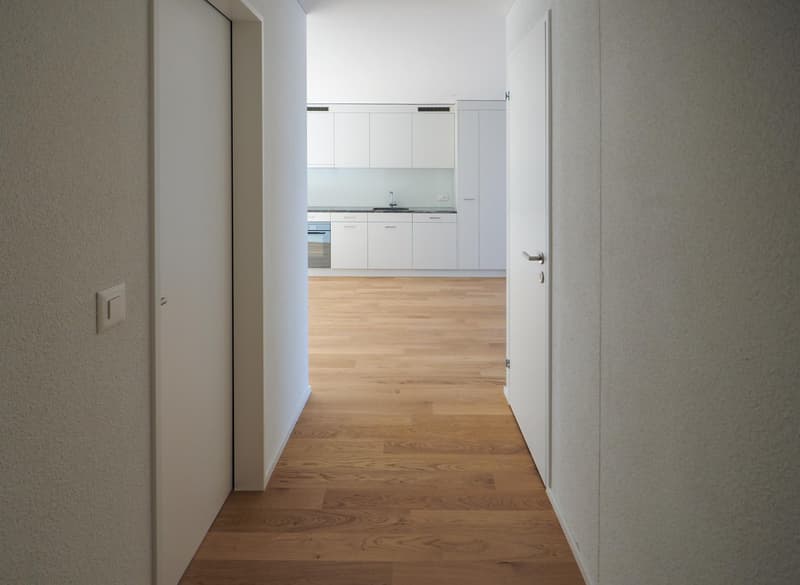 3.5 Zimmerwohnung in Horgen (2)