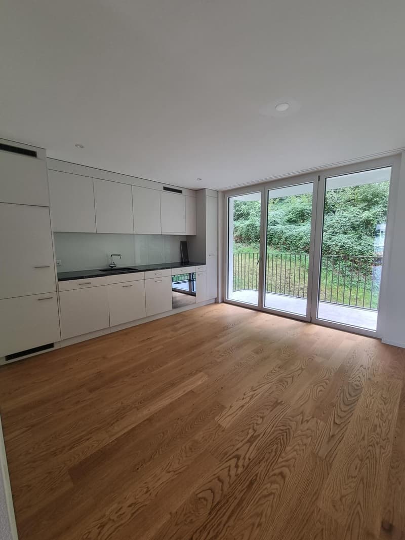 3.5 Zimmerwohnung in Horgen (1)