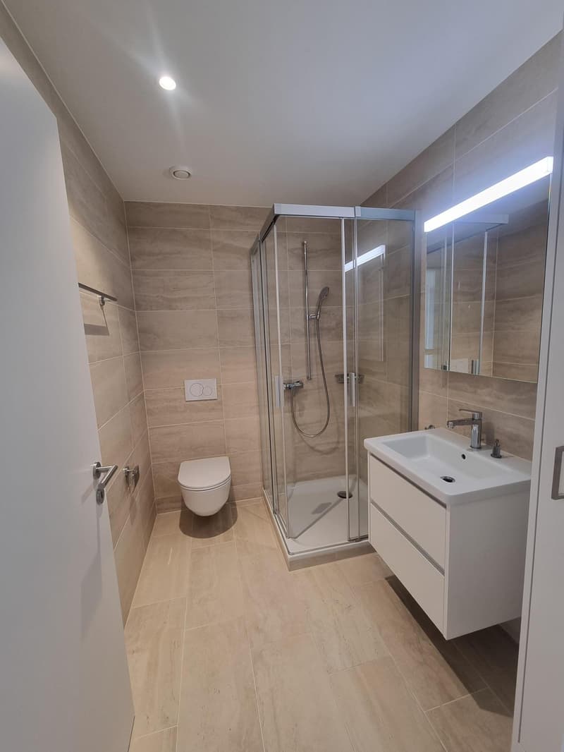 3.5 Zimmerwohnung in Horgen (4)