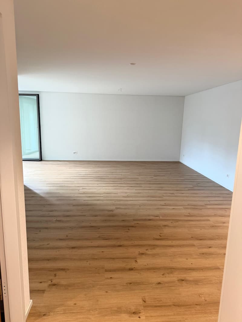 1.5 Zimmerwohnung in Rapperswil SG (5)