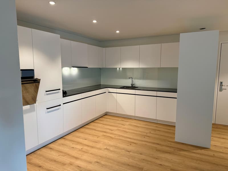 1.5 Zimmerwohnung in Rapperswil SG (2)