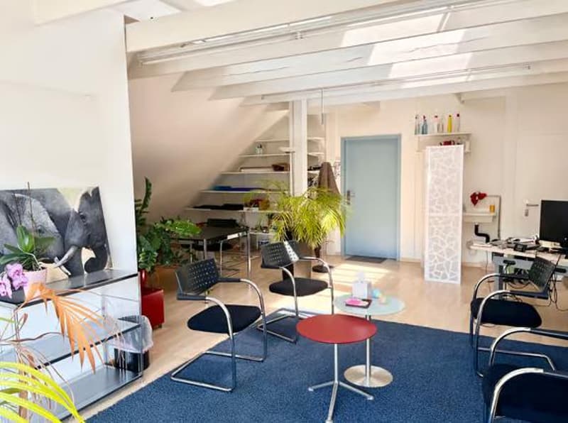 Charmantes Büro in Wädenswil (1)