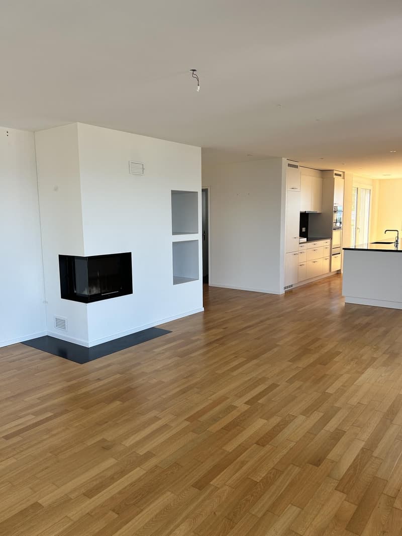 4.5 Zimmerwohnung in Wädenswil (befristet bis 31.03.2028) (4)