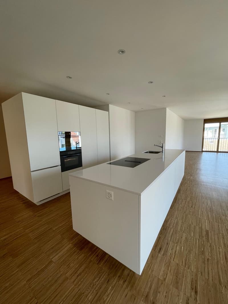 3.5 Zimmerwohnung in Wädenswil (2)