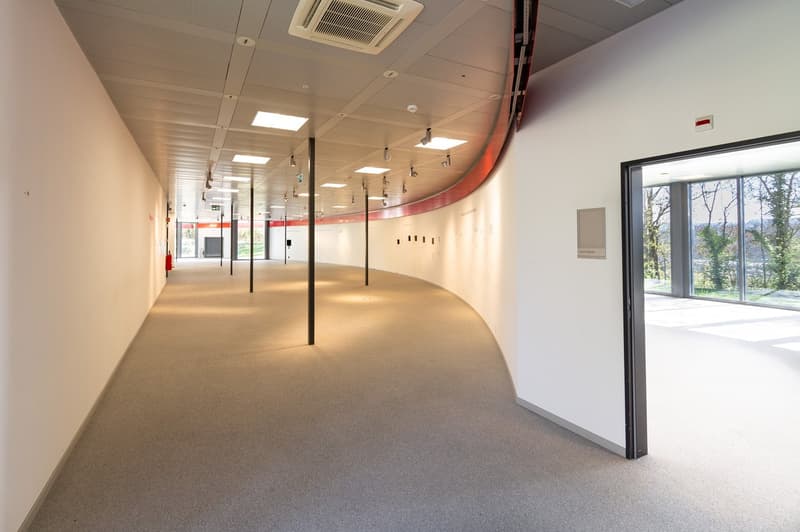 Commercial and industrial property in an idyllic location in Böttstein (3)