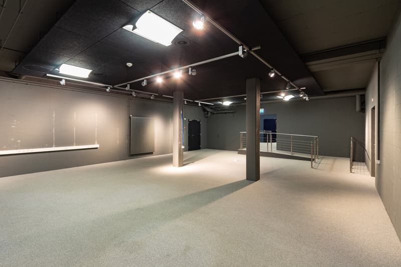 Commercial and industrial property in an idyllic location in Böttstein (10)