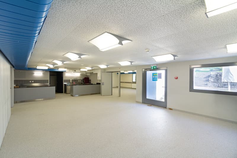 Commercial and industrial property in an idyllic location in Böttstein (7)