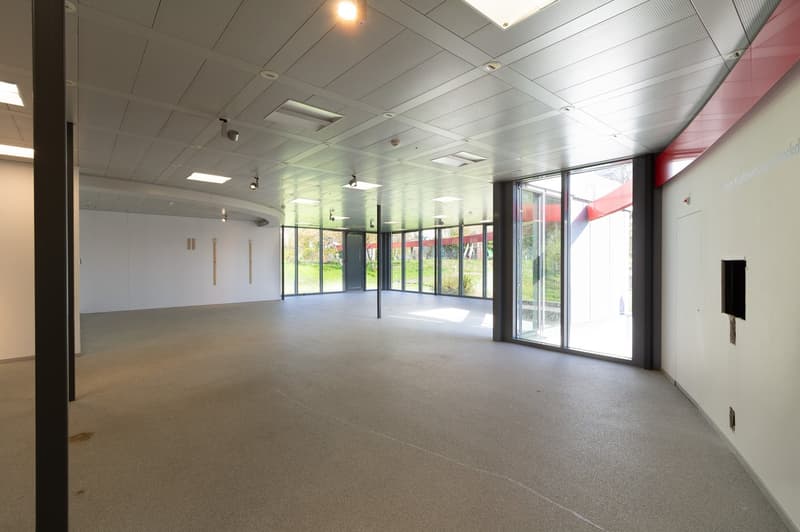 Commercial and industrial property in an idyllic location in Böttstein (6)