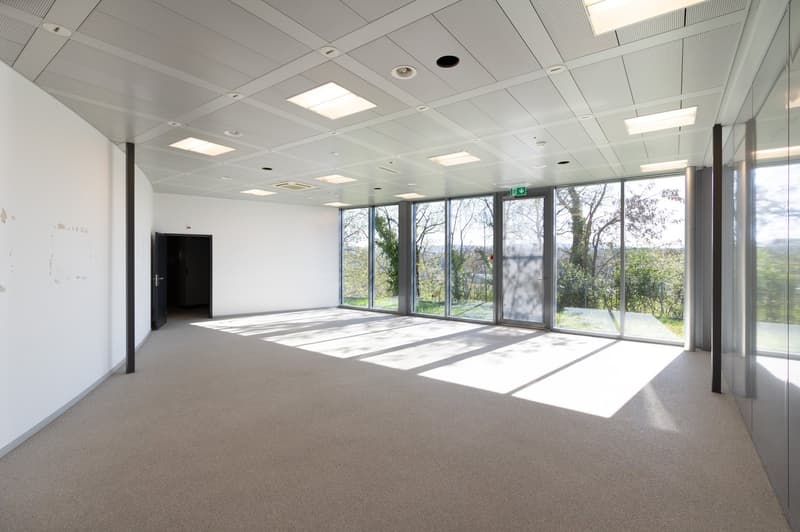 Commercial and industrial property in an idyllic location in Böttstein (5)