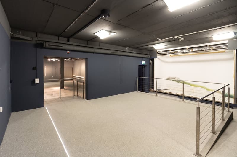 Commercial and industrial property in an idyllic location in Böttstein (8)