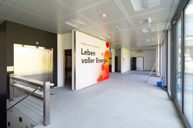 Commercial and industrial property in an idyllic location in Böttstein (2)
