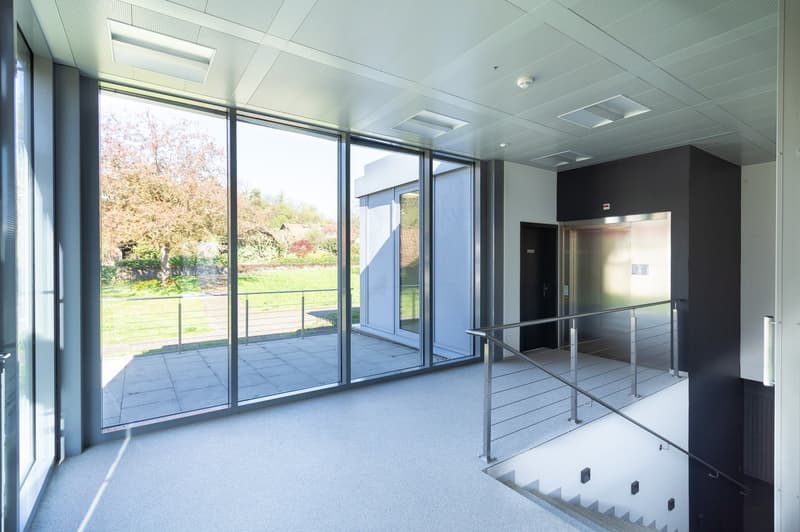 Commercial and industrial property in an idyllic location in Böttstein (4)