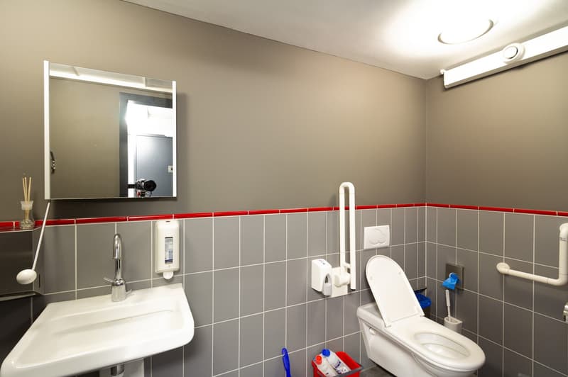 Commercial and industrial property in an idyllic location in Böttstein (12)