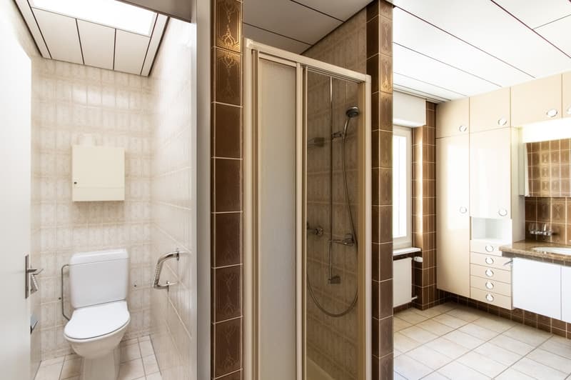 Grosszügige 5.5-Zimmer-Dachwohnung mit herrlichem Ausblick in Kleindöttingen (8)