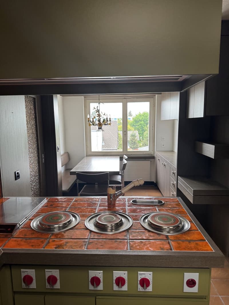 Spacious 5.5-room attic apartment with a lovely view in Kleindöttingen (5)